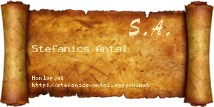 Stefanics Antal névjegykártya